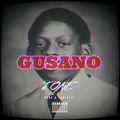 Gusano