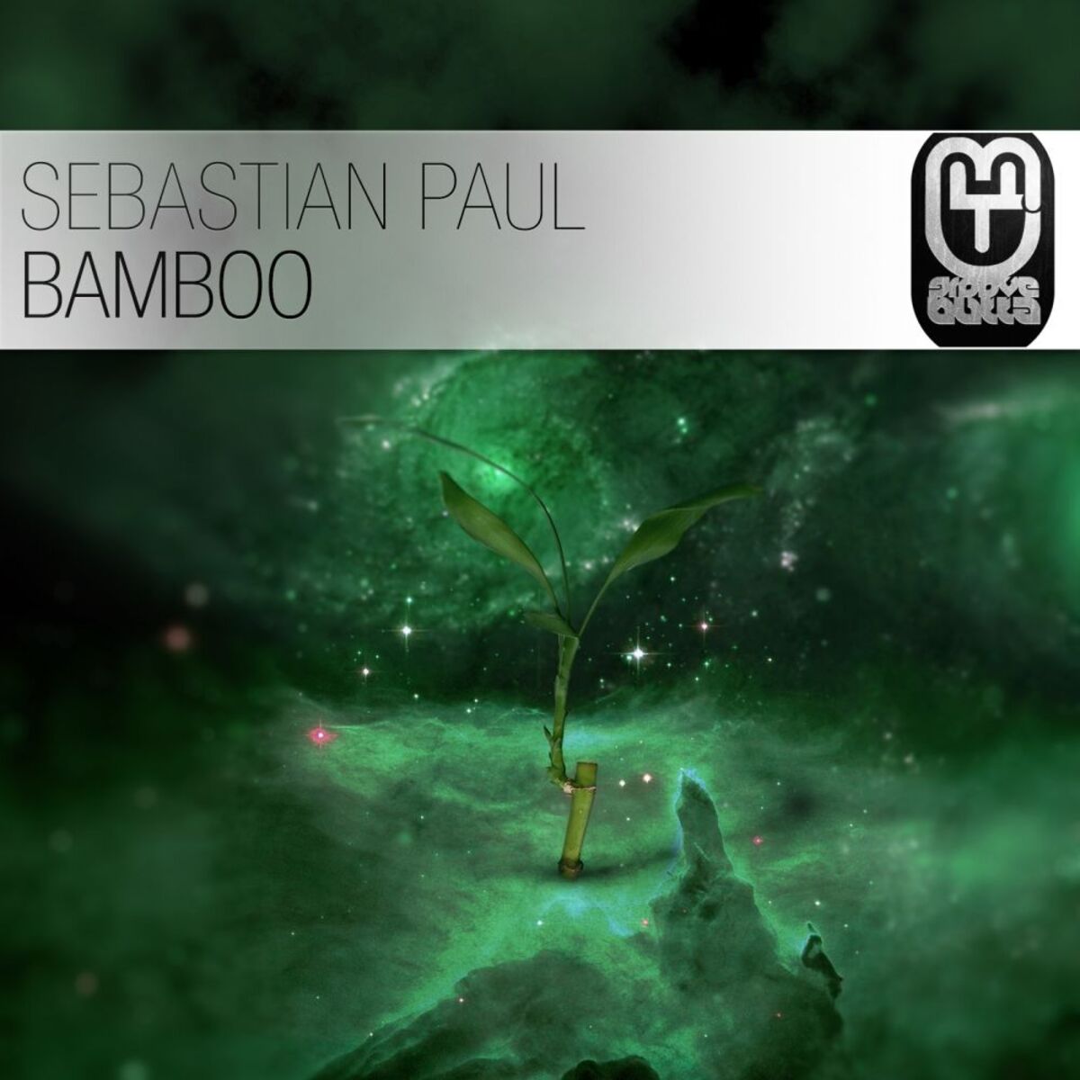 Album cover of Bamboo