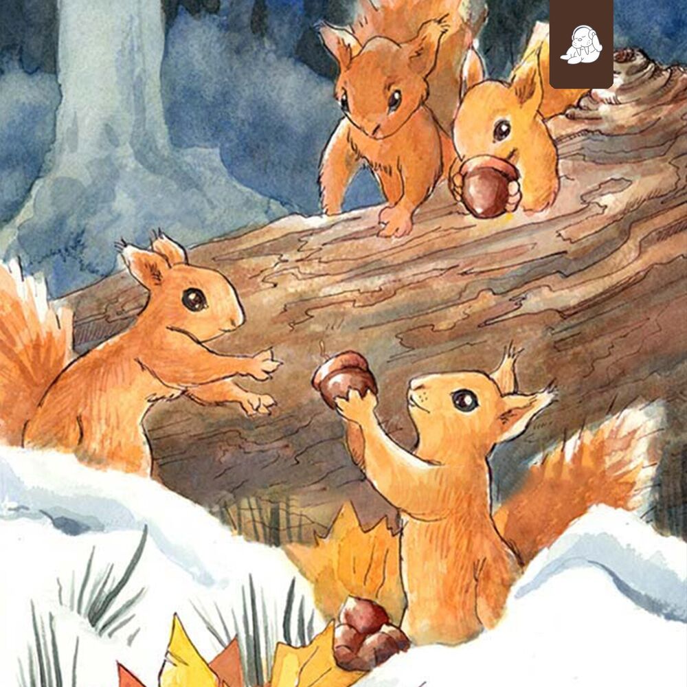 Picture of Squirrel