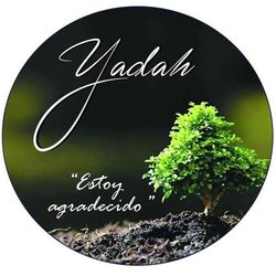 Cover of Estoy Agradecido