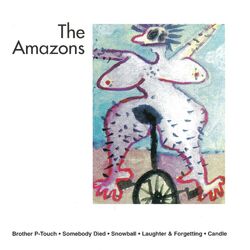 Cover of The Amazons