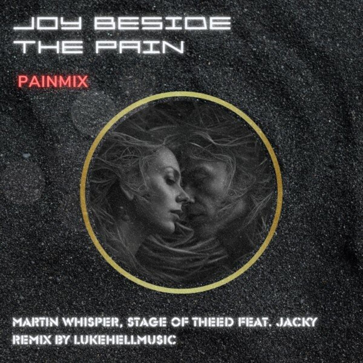 Album cover of Joy Beside the Pain (Painmix)