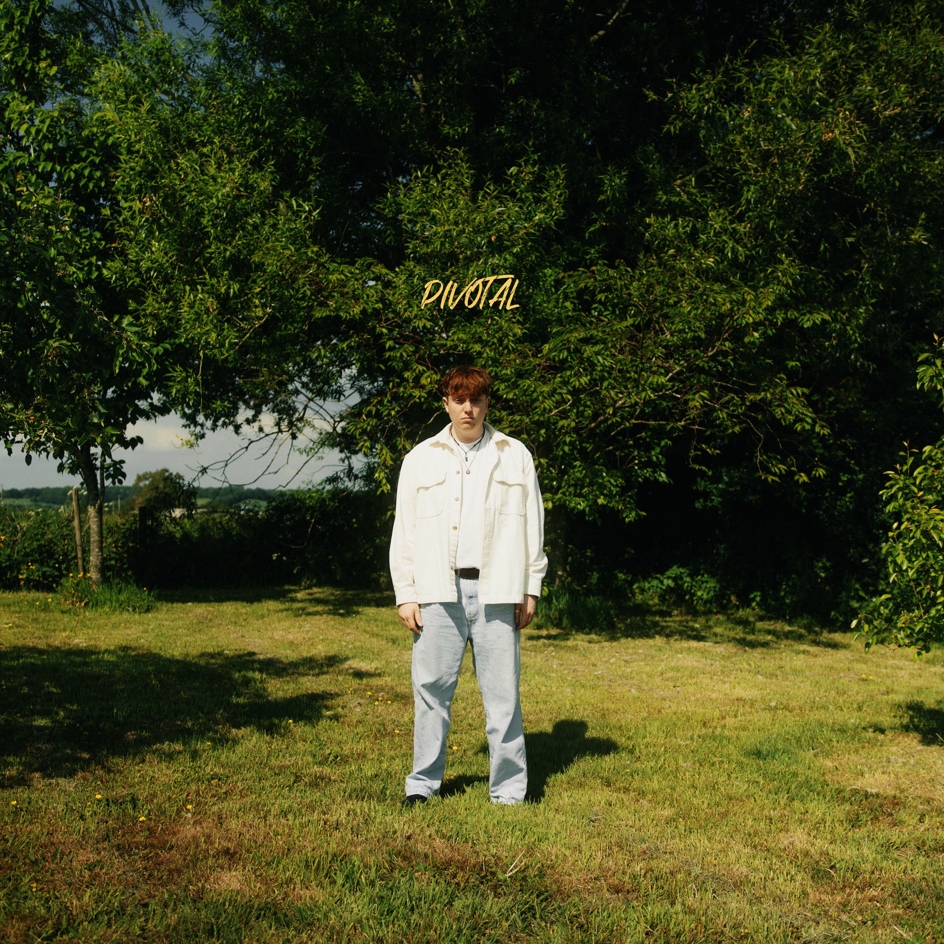 Album cover of The Idea of You