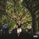 A Selva by Chefin album cover