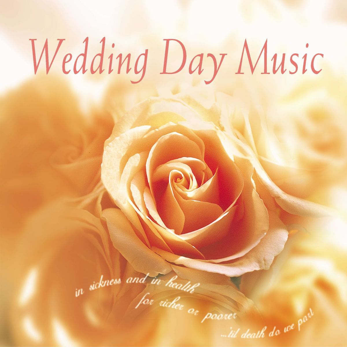 Album cover of Amen Kind of Love