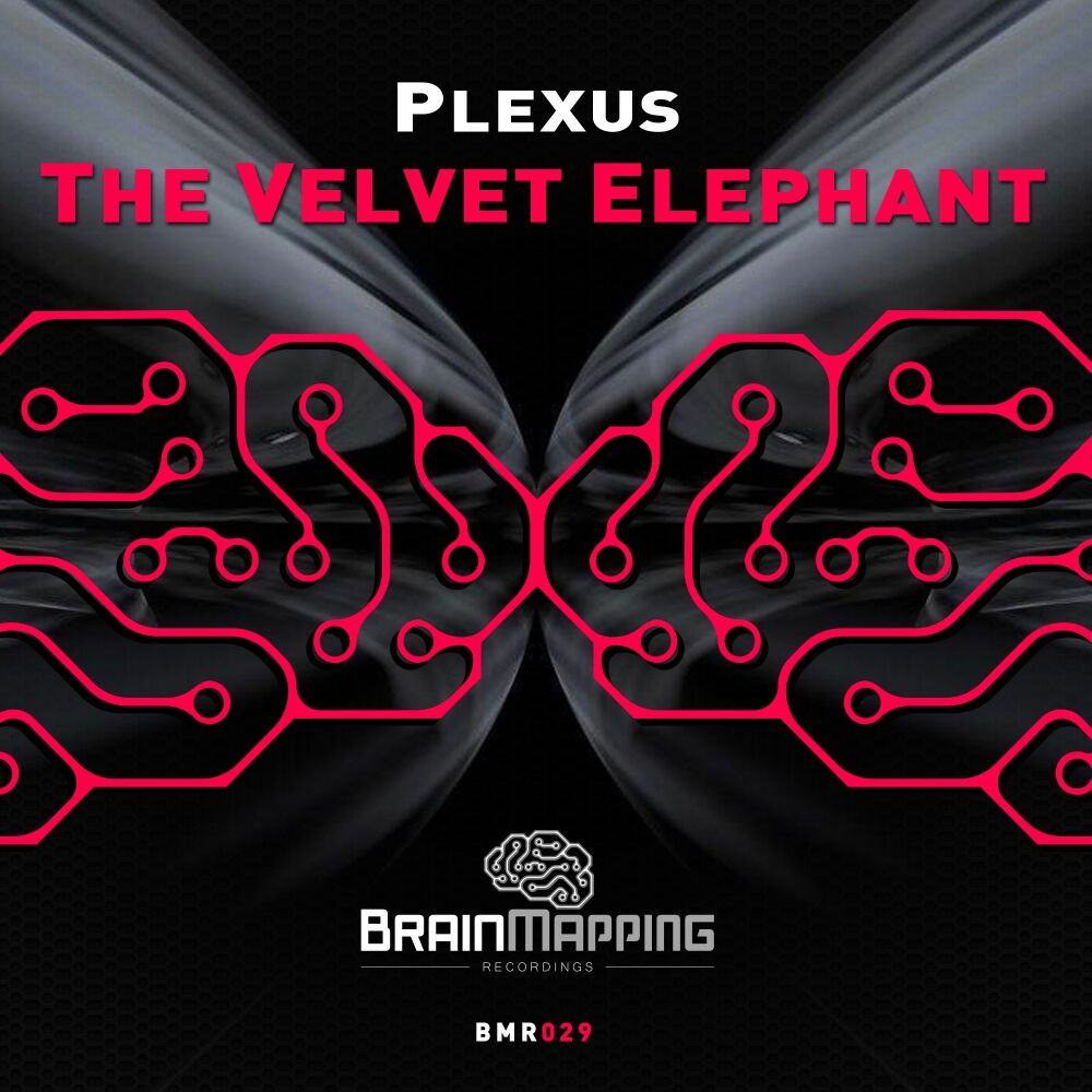Picture of The Velvet Elephant