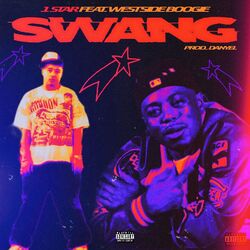 Cover of Swang