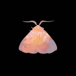 Cover of Romeo