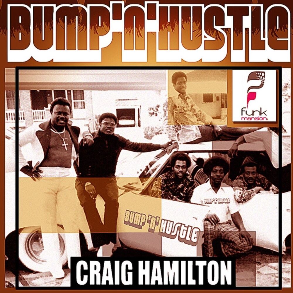 Picture of Bump 'n' Hustle