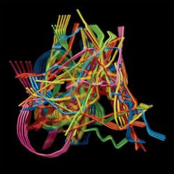 Cover of Perpetual Morphosis