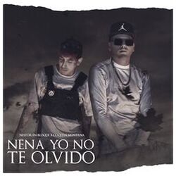 Cover of Nena Yo No Te Olvido