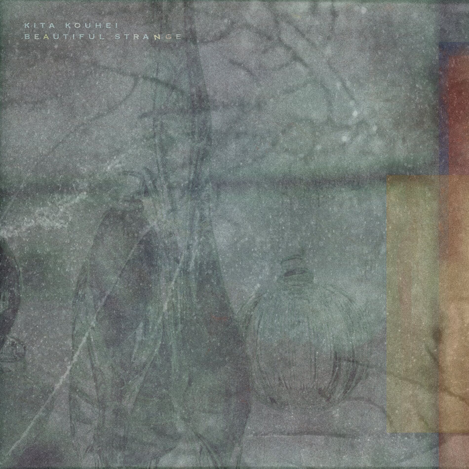 Album cover of Beautiful Strange