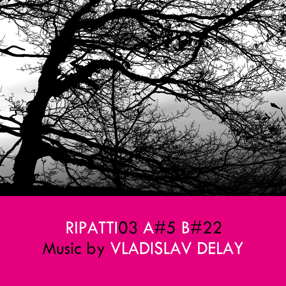 Picture of Ripatti03