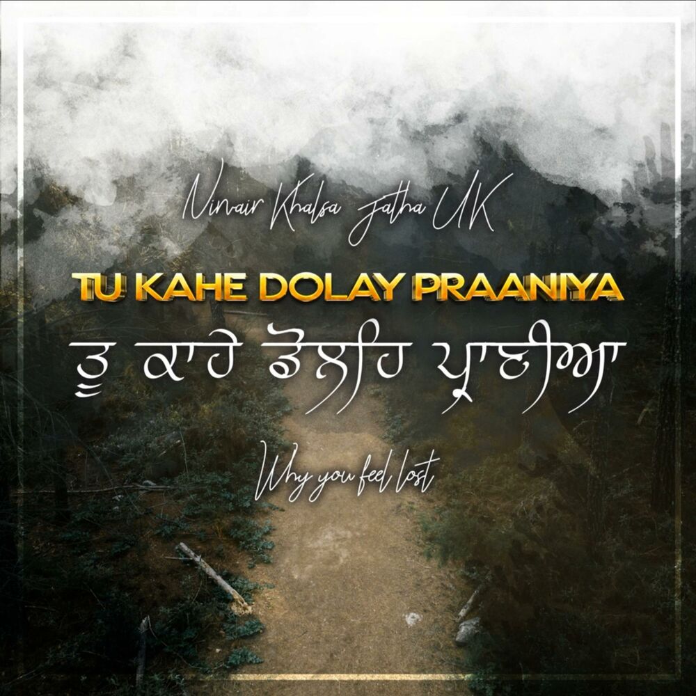 Picture of Tu Kahe Dolay Praaniya