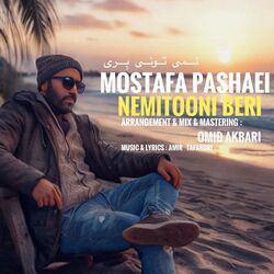 Cover of Nemitooni Beri