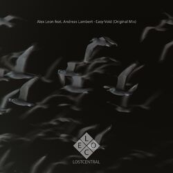 Cover of Easy Void
