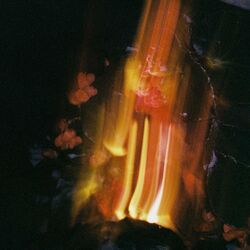 Cover of doom