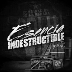 Cover of Esencia Indestructible