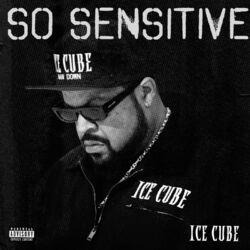 Cover of So Sensitive