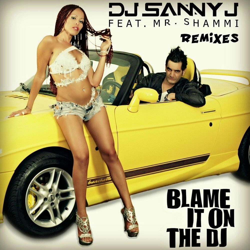 Picture of Blame It On the DJ (Remixes)