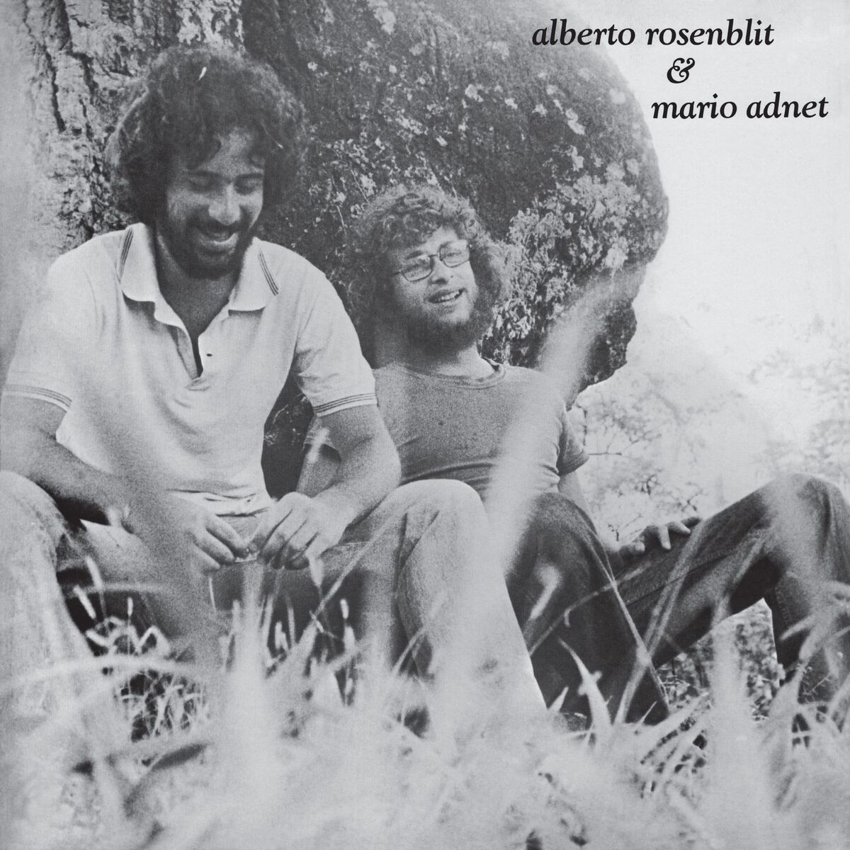 Album cover of Alberto Rosenblit & Mario Adnet