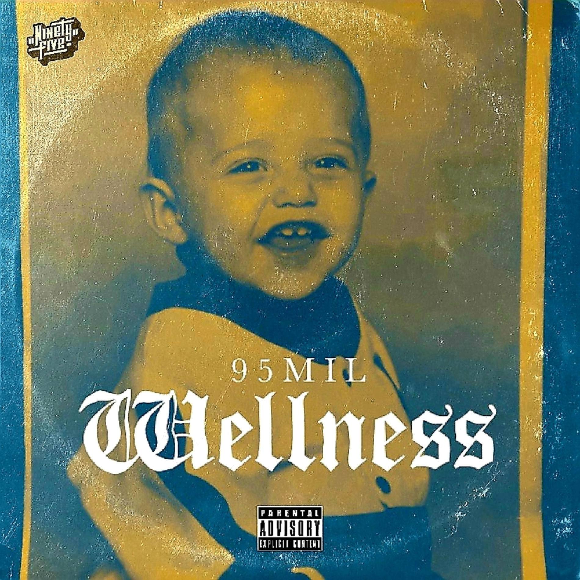 Album cover of Wellness