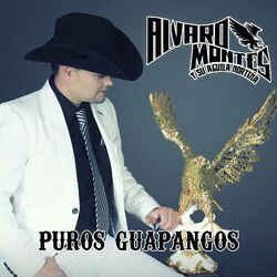 Cover of Puros Guapangos
