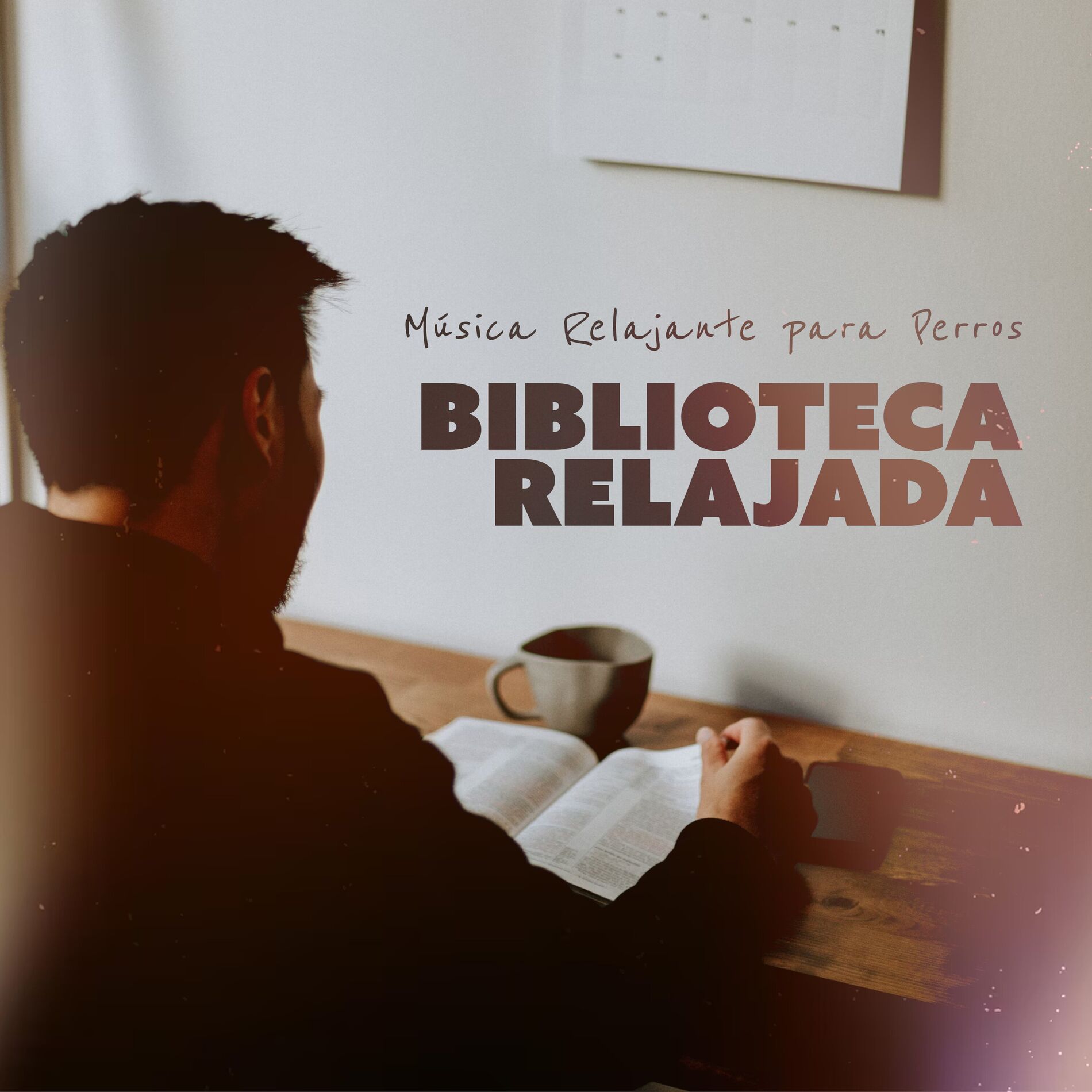 Album cover of Biblioteca relajada