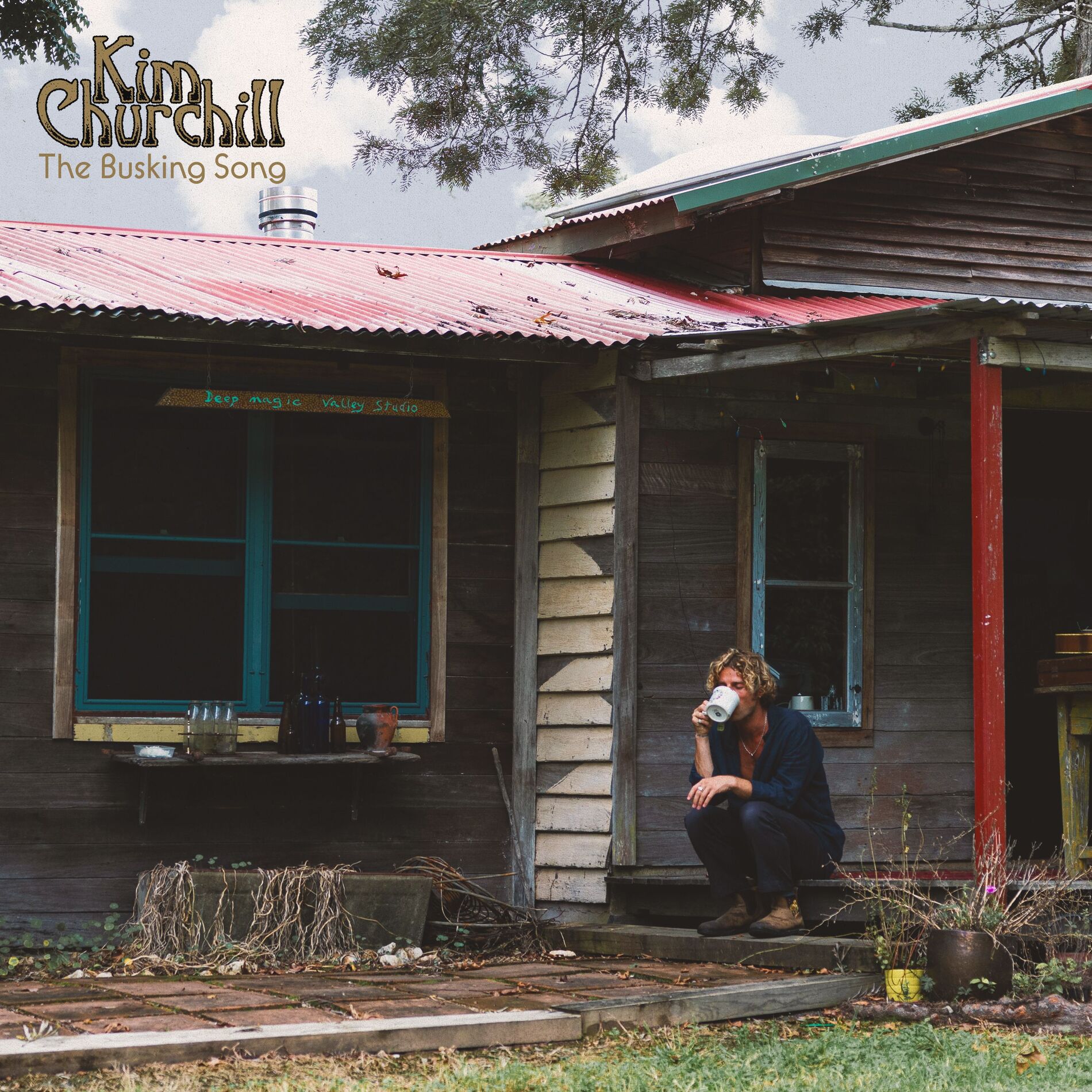 Album cover of The Busking Song