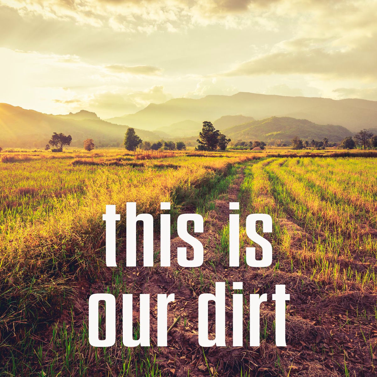 Album cover of this is our dirt