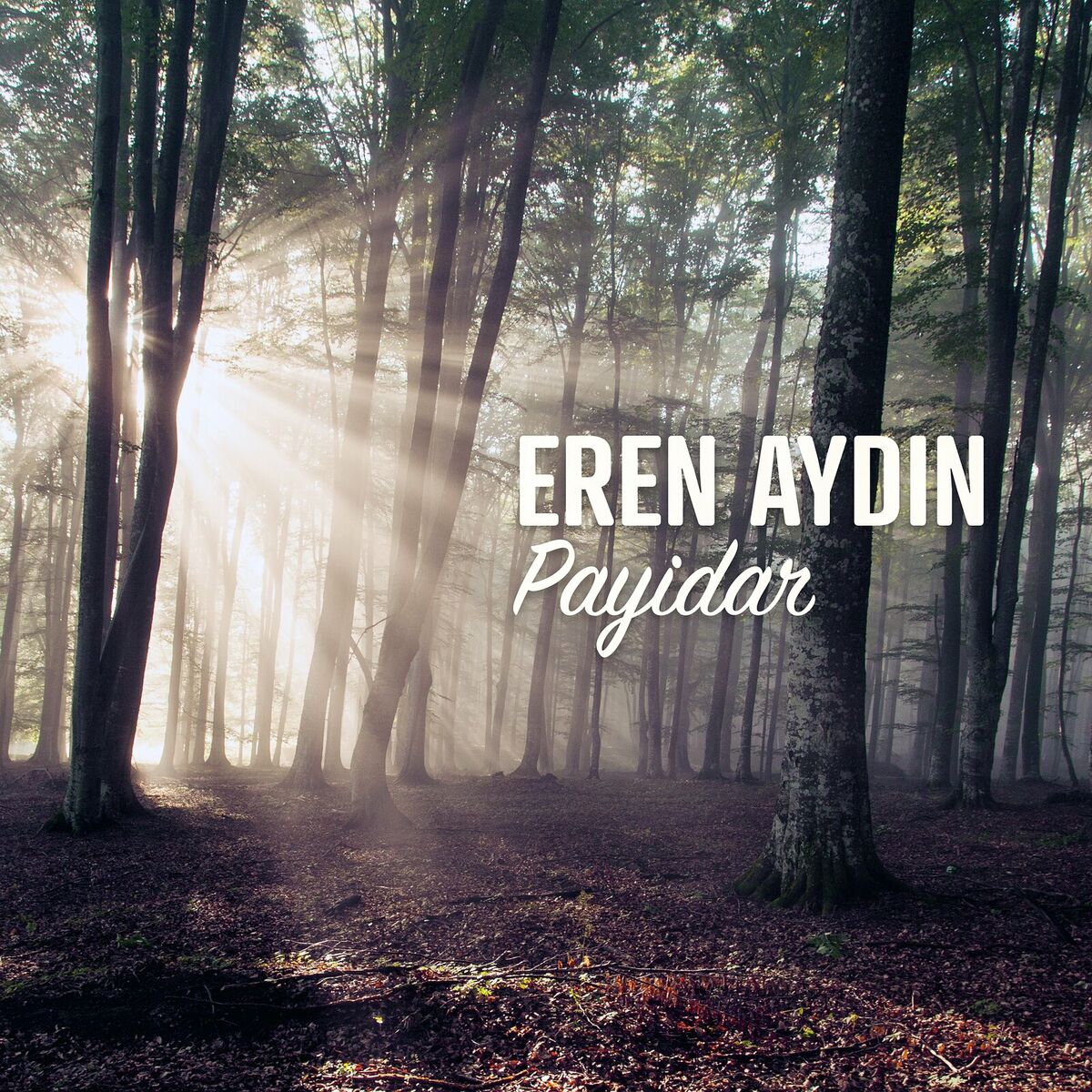 Album cover of Payidar