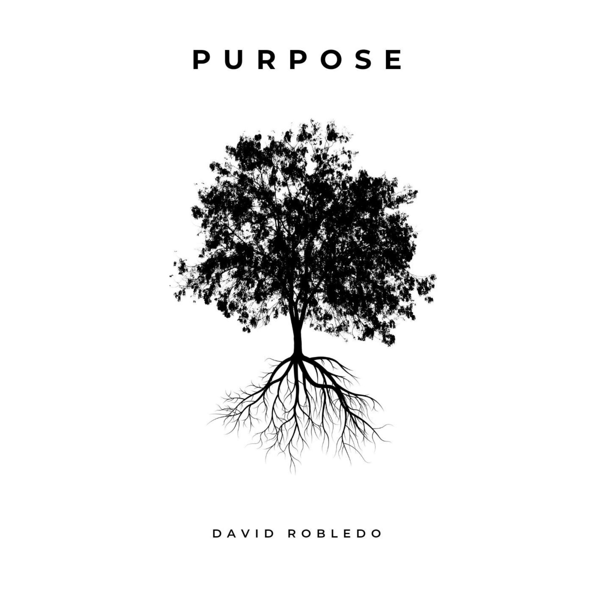 Album cover of Purpose