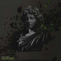 Cover of Nie gekannt (Robbensohn Remix)