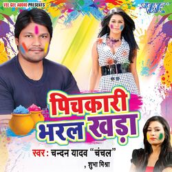 Cover of Pichkari Bharal Khada