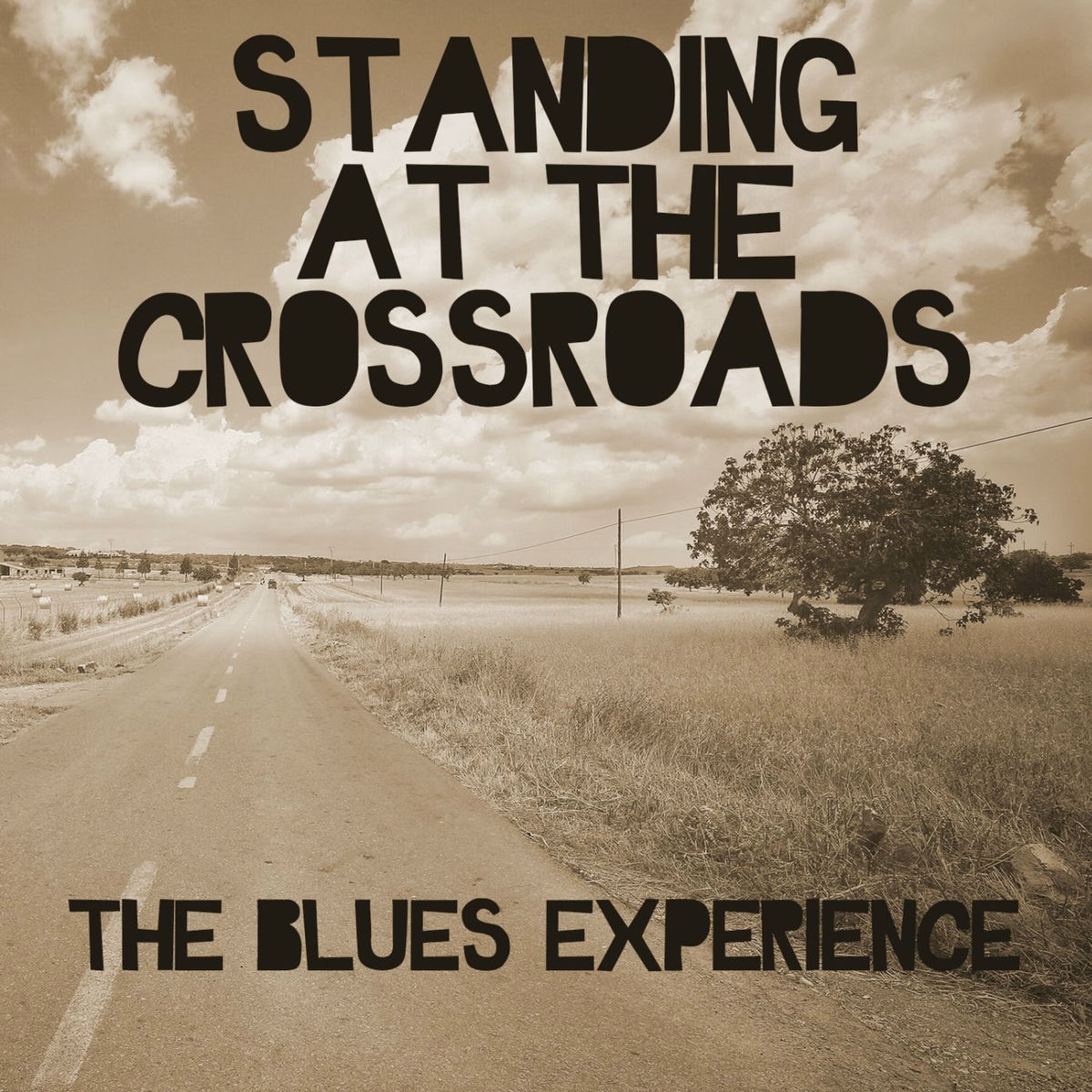 Album cover of Standing At The Crossroads: The Blues Experience