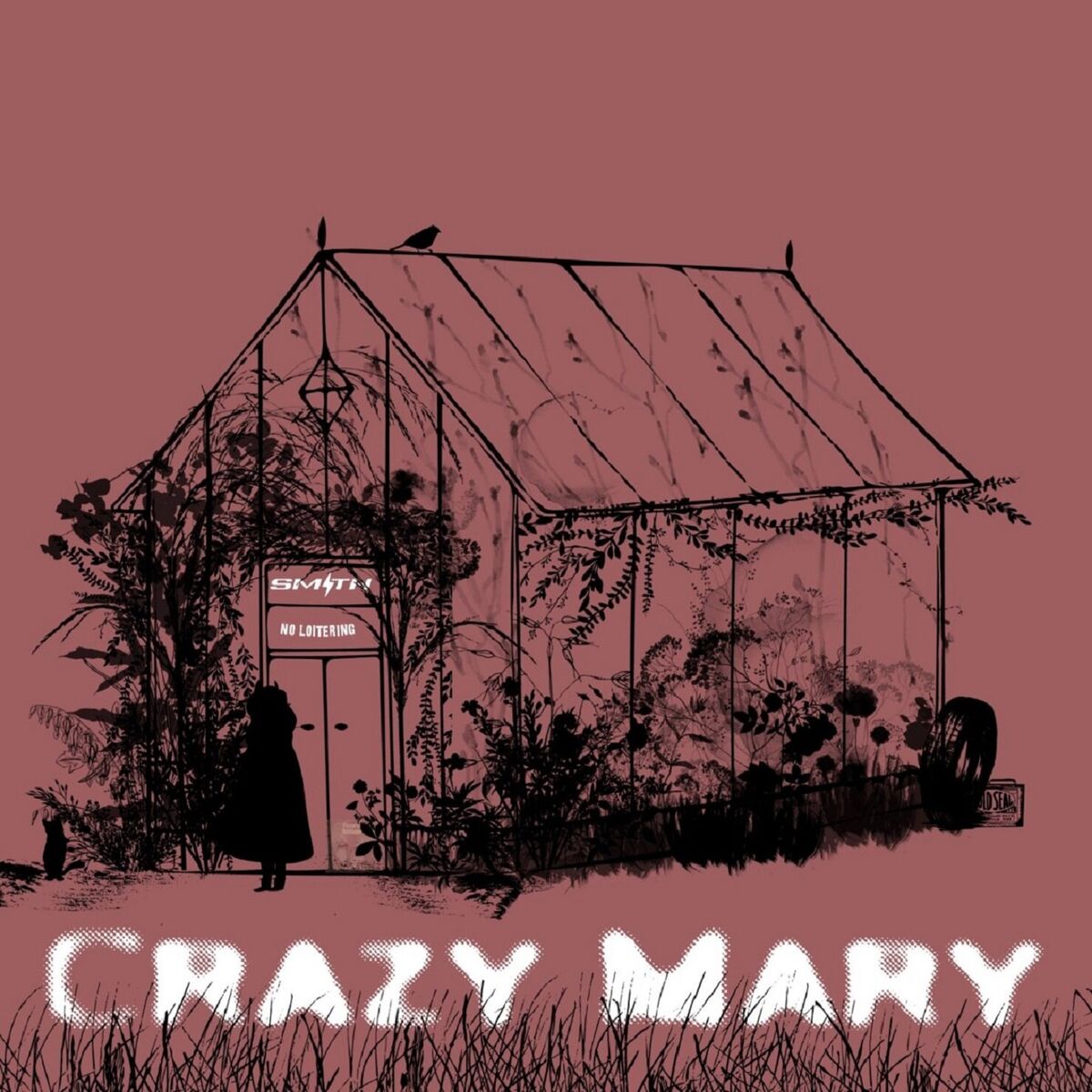 Album cover of Crazy Mary