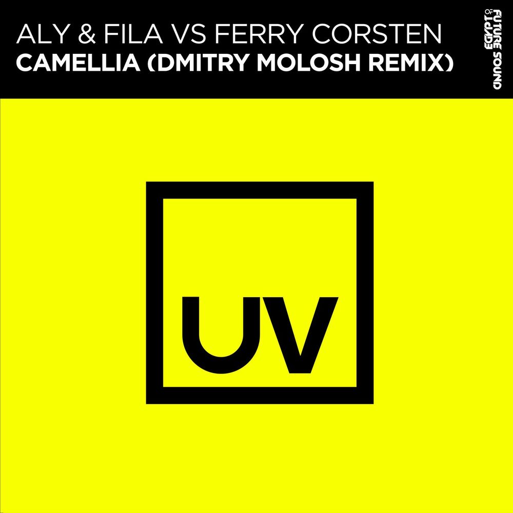 Picture of Camellia (Dmitry Molosh Remix)