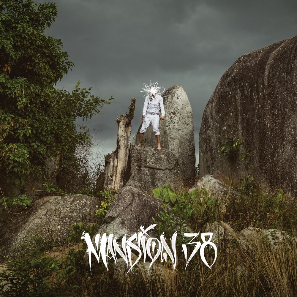 Picture of Mansion 38