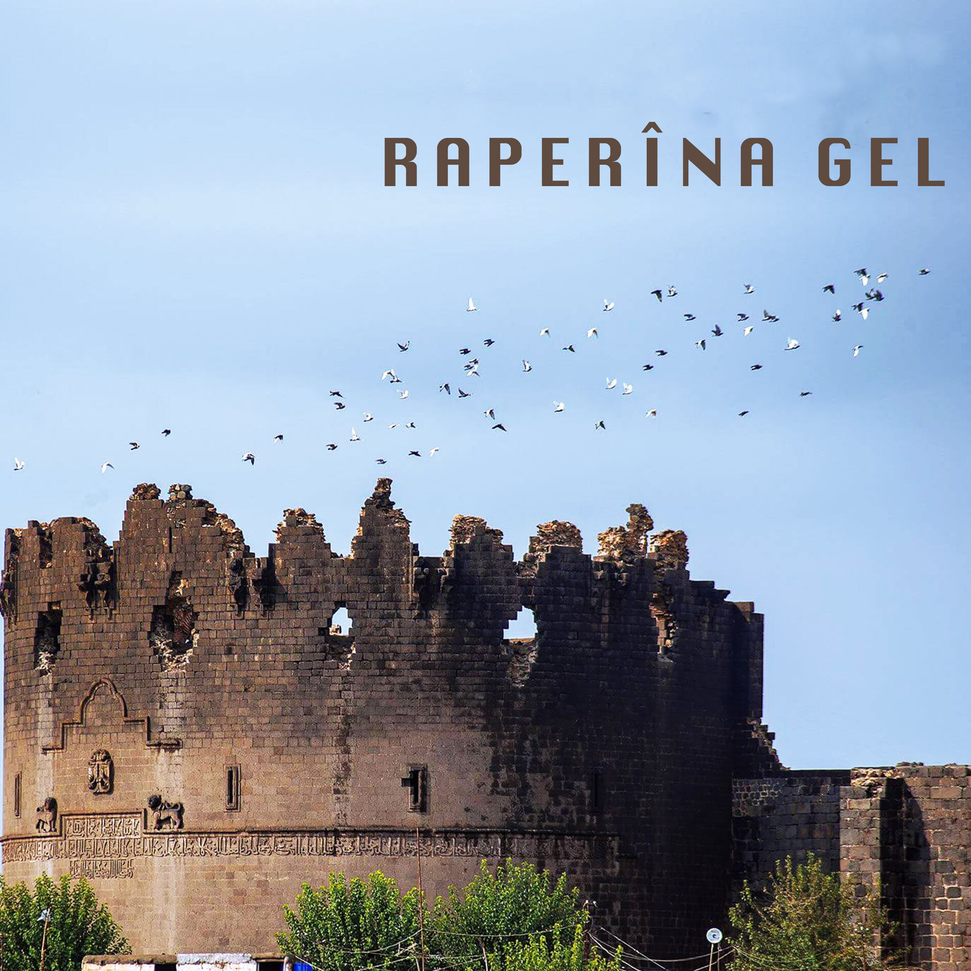 Album cover of Raperîna Gel