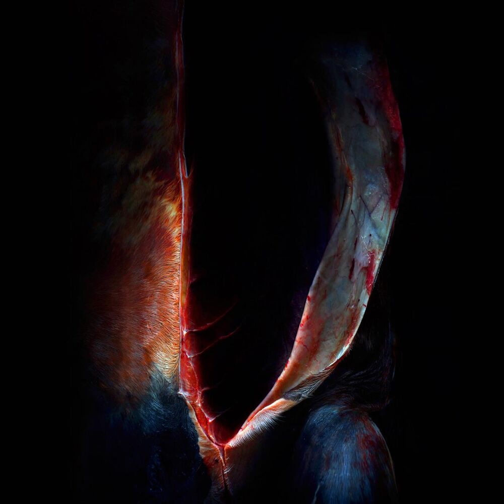 Picture of XXVI Crimes of Love