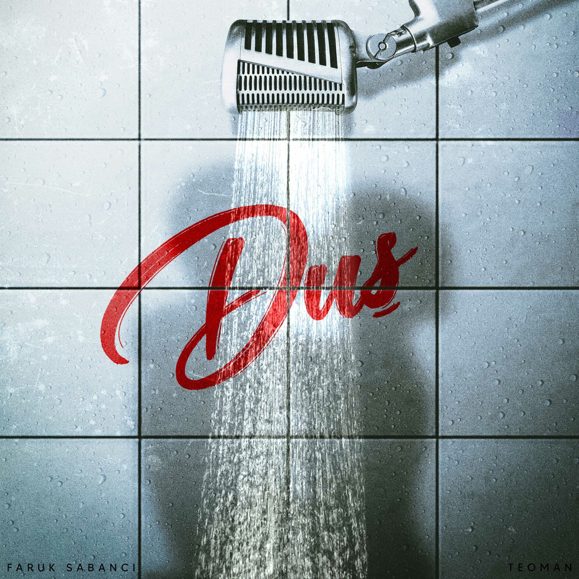 Album cover of Duş