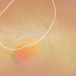 Cover of Conception
