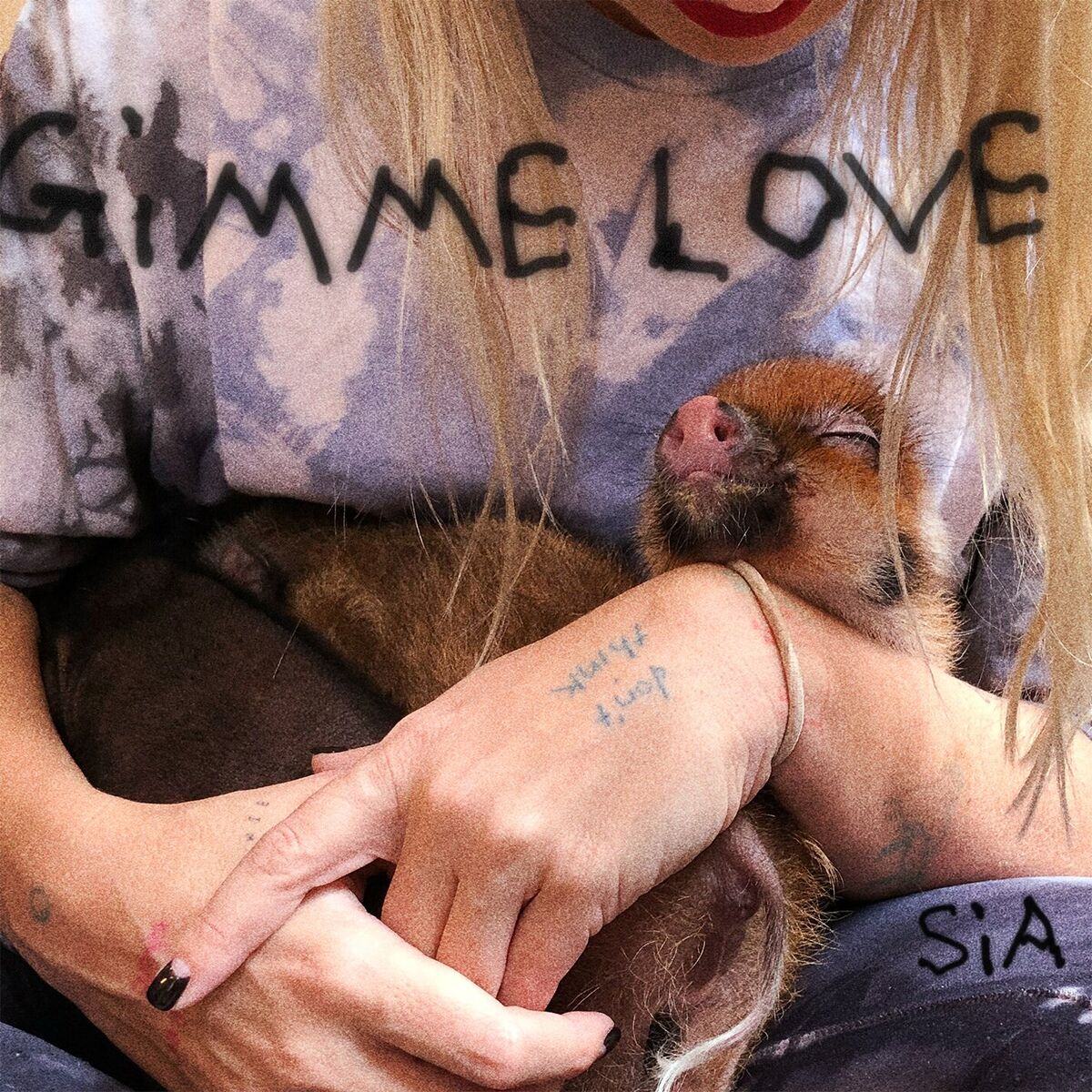 Album picture of Gimme Love