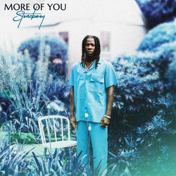 Descargar More of You - Stonebwoy MP3