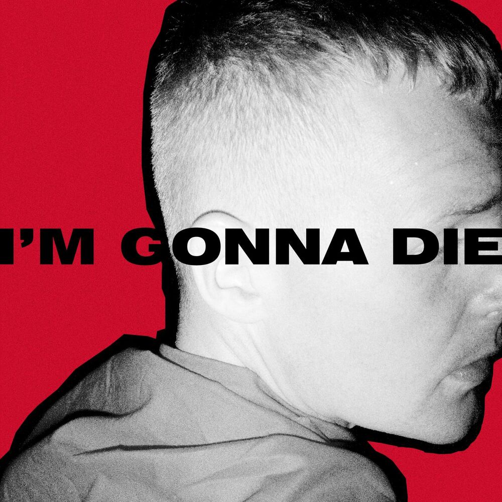 Picture of I'm Gonna Die