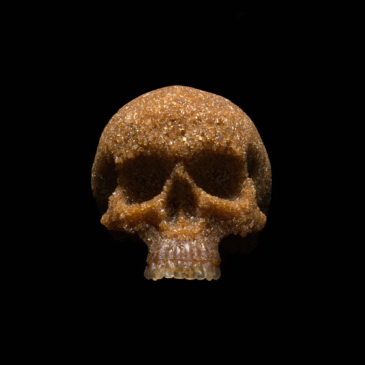 Album cover of Sugar Coated Lies