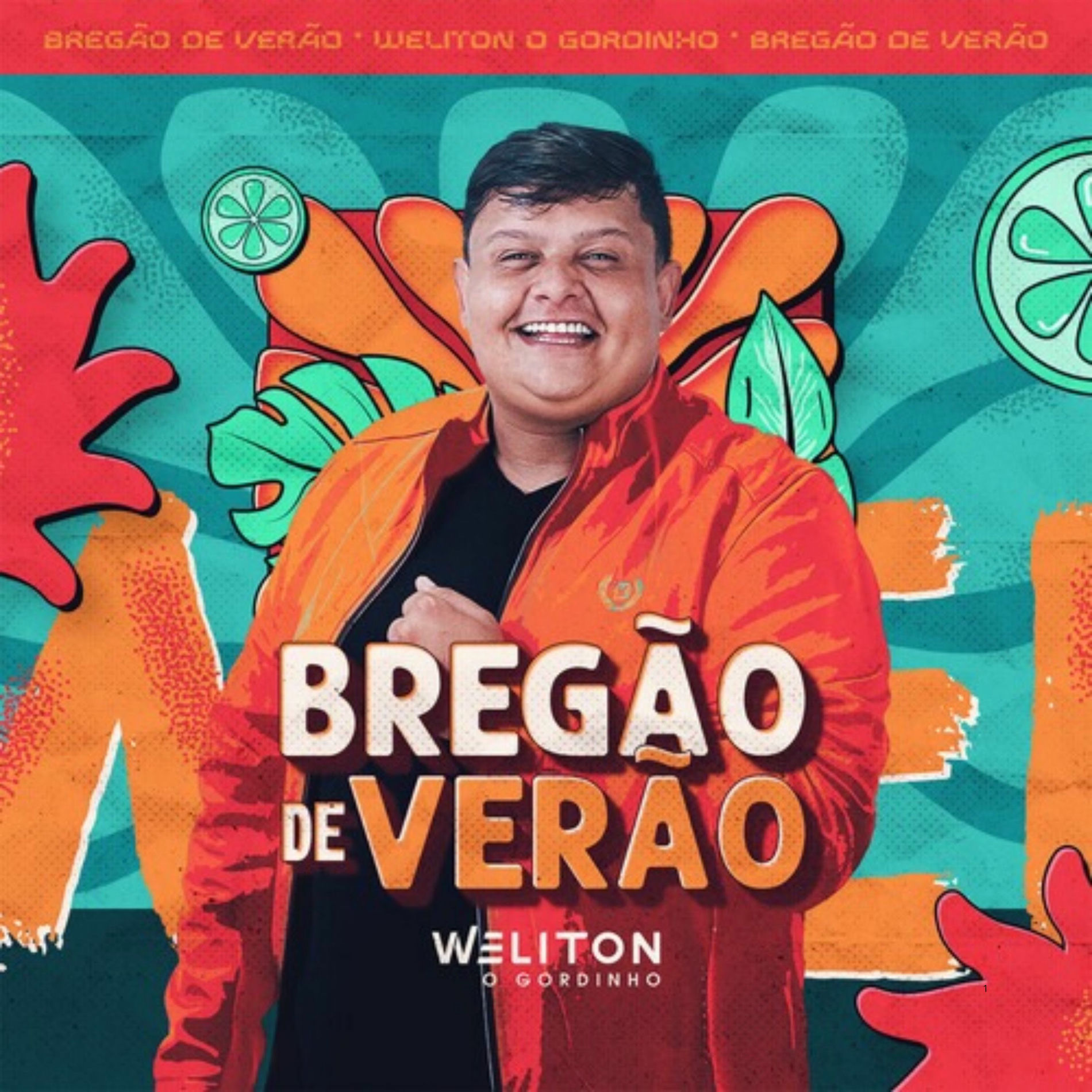 Album cover of Bregão de Verão