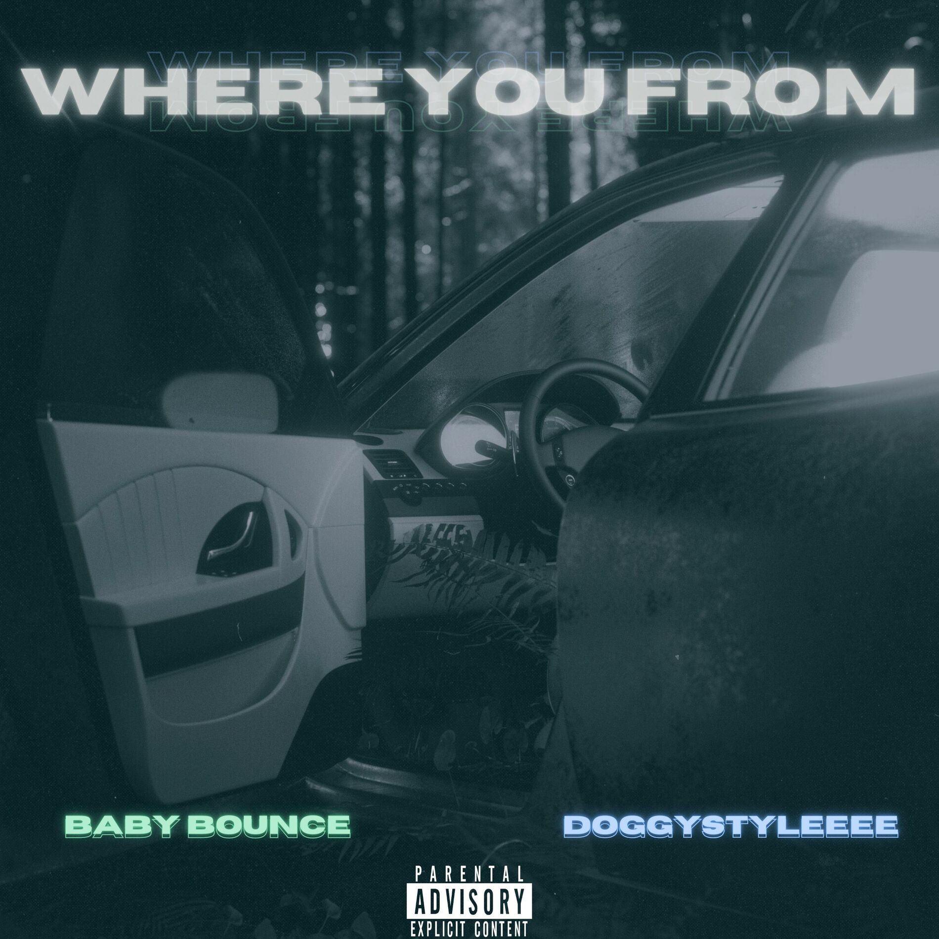 Album cover of Where You From (feat. Doggystyleeee)