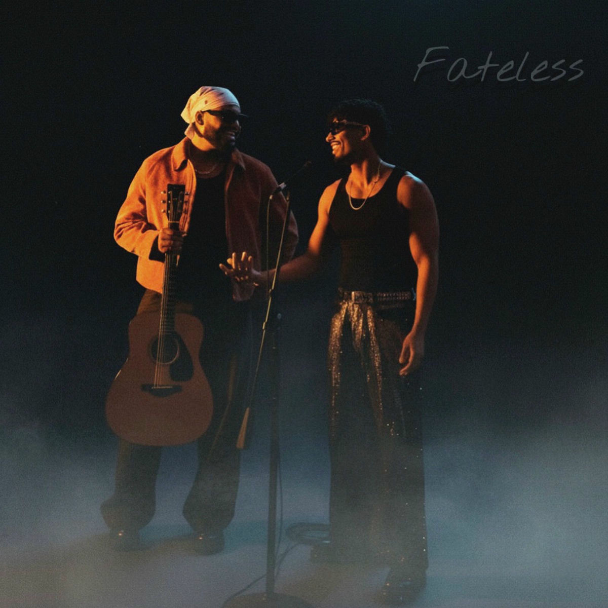 Album cover of Fateless