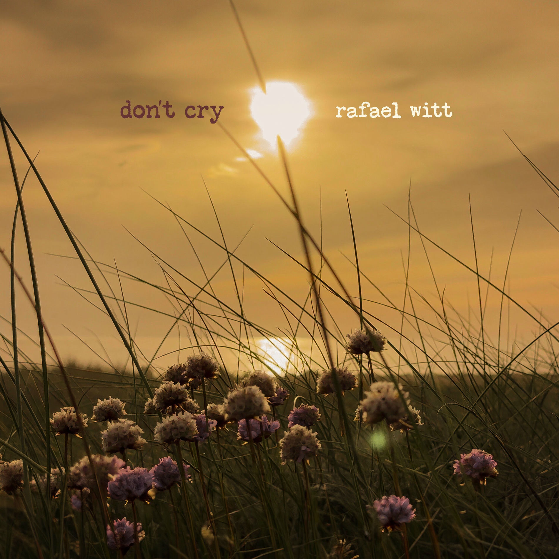 Album cover of Don't Cry